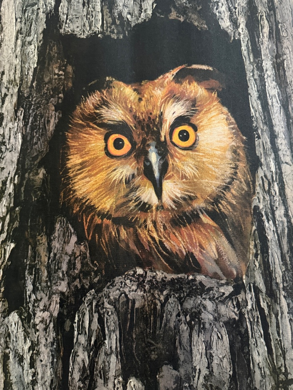 Nocturnal Watch by Sandu Liberman Vintage Signed Owl Canvas Print